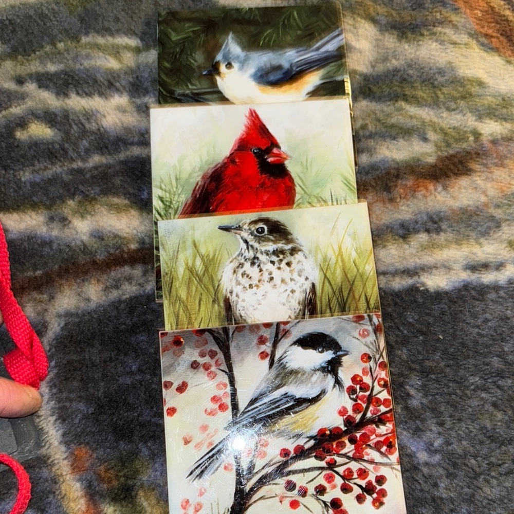 Bird-Themed Decorative Coasters Set